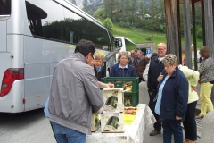Rast am Reschensee