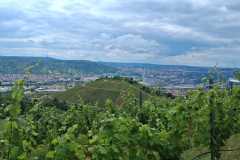 6d11855c-5e7f-4e92-9732-6a1480b87429